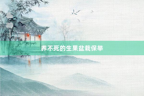 养不死的生果盆栽保举