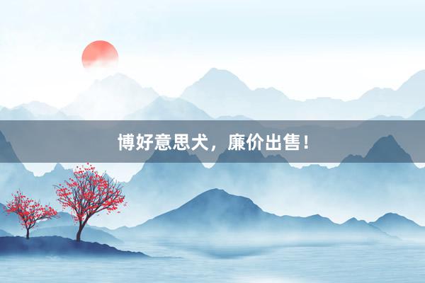 博好意思犬，廉价出售！